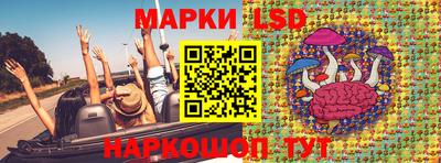 стаф Бийск