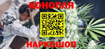 стаф Бийск