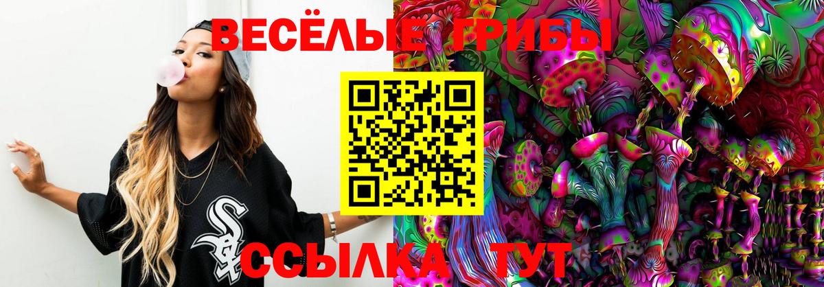 Зерноград  Галлюциногенные грибы прущие грибы  Галлюциногенные грибы Cubensis  Вход с VPN 