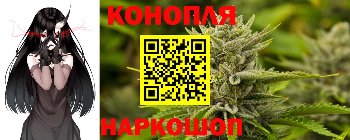 Конопля планчик Зерноград